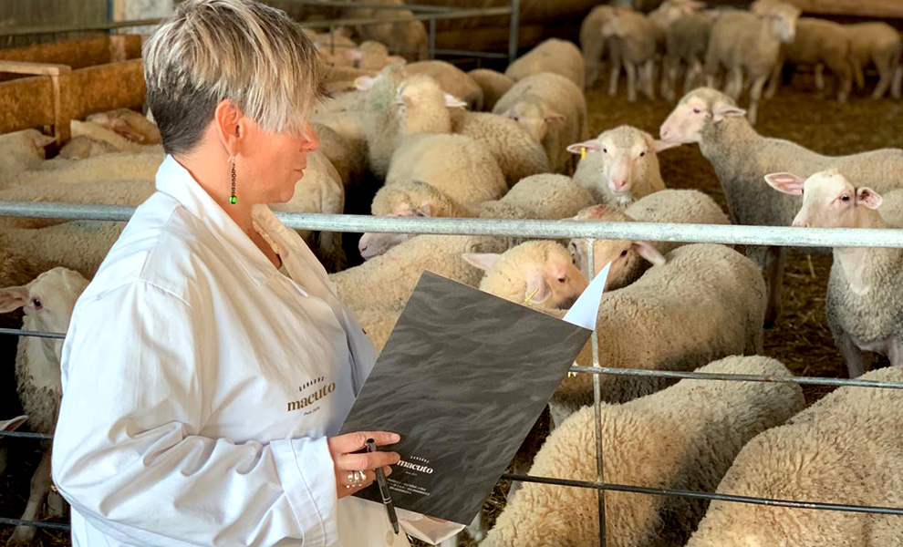 Alimentación supervisada por nutriólogos